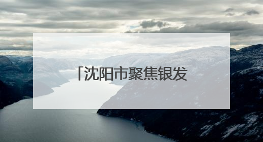 沈阳市聚焦银发经济释放530亿元投资合作机会
